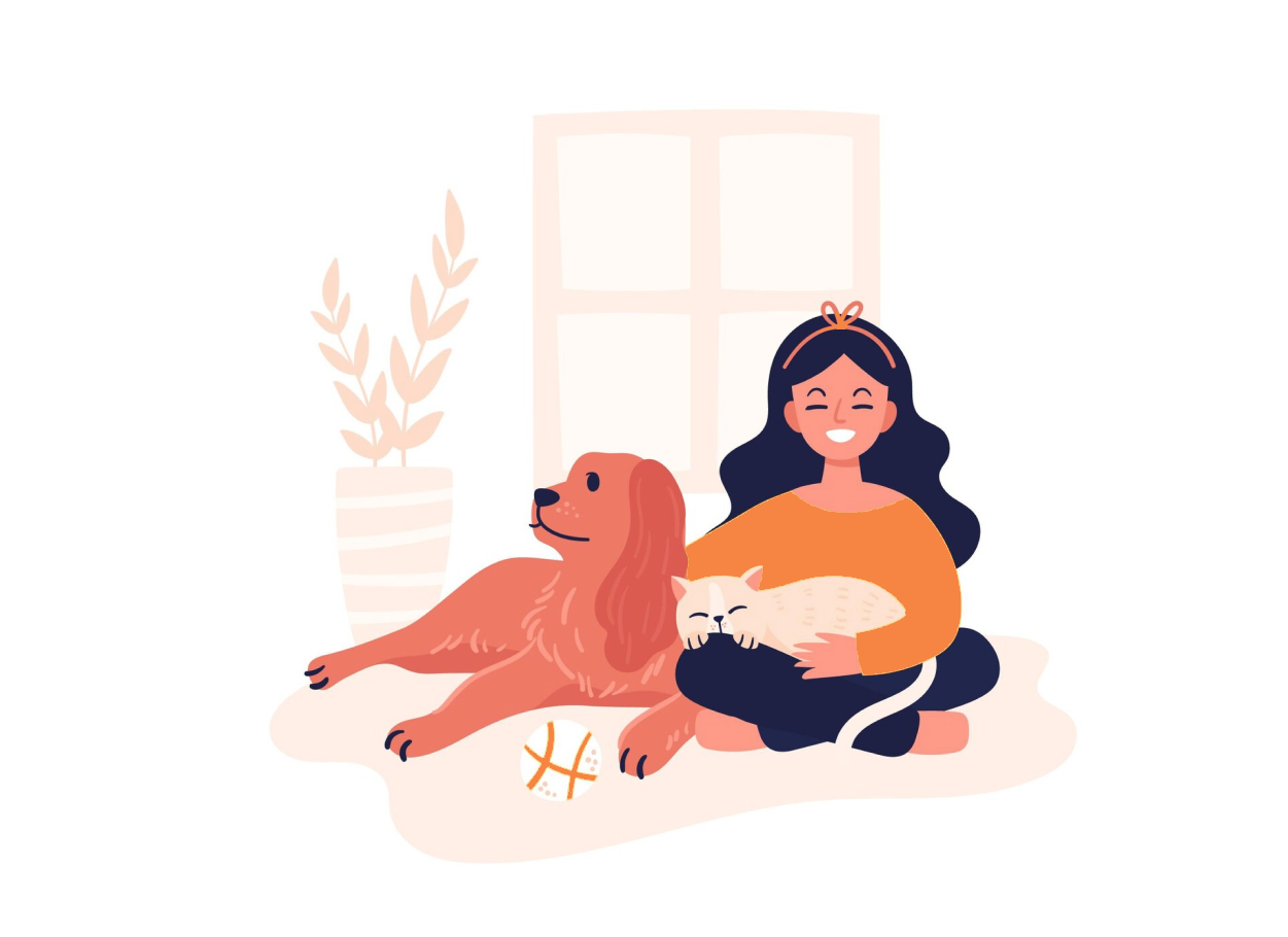 Vacinas e remédios organizados